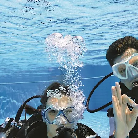 リゾート Tui Blue Park サルゲルメ