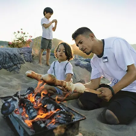 Complex Tui Blue Park